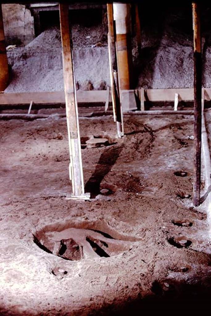 IX.13.1-3 Pompeii, 1973. Filled root cavities in peristyle. Photo by Stanley A. Jashemski. 
Source: The Wilhelmina and Stanley A. Jashemski archive in the University of Maryland Library, Special Collections (See collection page) and made available under the Creative Commons Attribution-Non Commercial License v.4. See Licence and use details. J73f0634