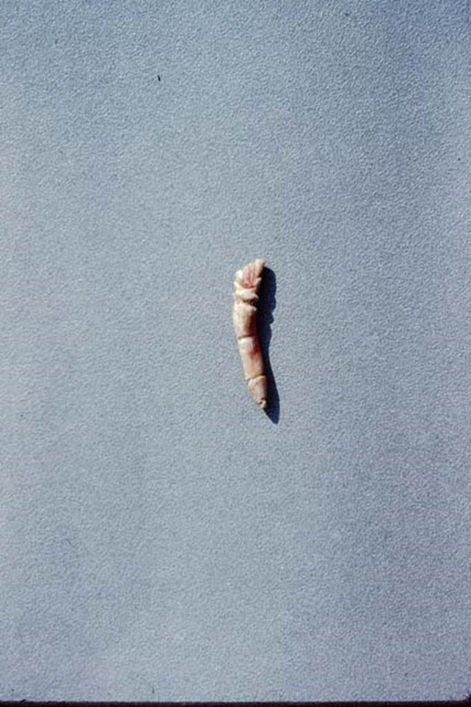 IX.13.1-3 Pompeii, 1973  A small piece of coral, less than one inch in length, carved with a tiny hand at one end and a phallus. Photo by Stanley A. Jashemski. 
Source: The Wilhelmina and Stanley A. Jashemski archive in the University of Maryland Library, Special Collections (See collection page) and made available under the Creative Commons Attribution-Non Commercial License v.4. See Licence and use details. J73f0781