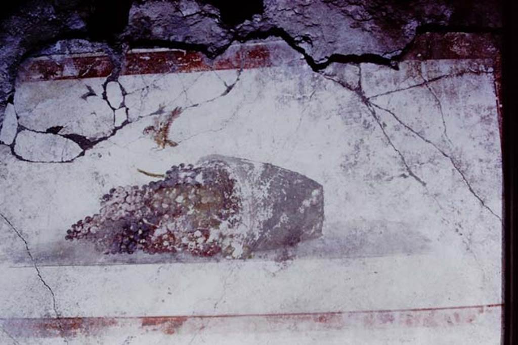IX.13.1-3 Pompeii. 1972. Room 9, detail of painting on east wall. Photo by Stanley A. Jashemski. 
Source: The Wilhelmina and Stanley A. Jashemski archive in the University of Maryland Library, Special Collections (See collection page) and made available under the Creative Commons Attribution-Non Commercial License v.4. See Licence and use details. J72f0447
