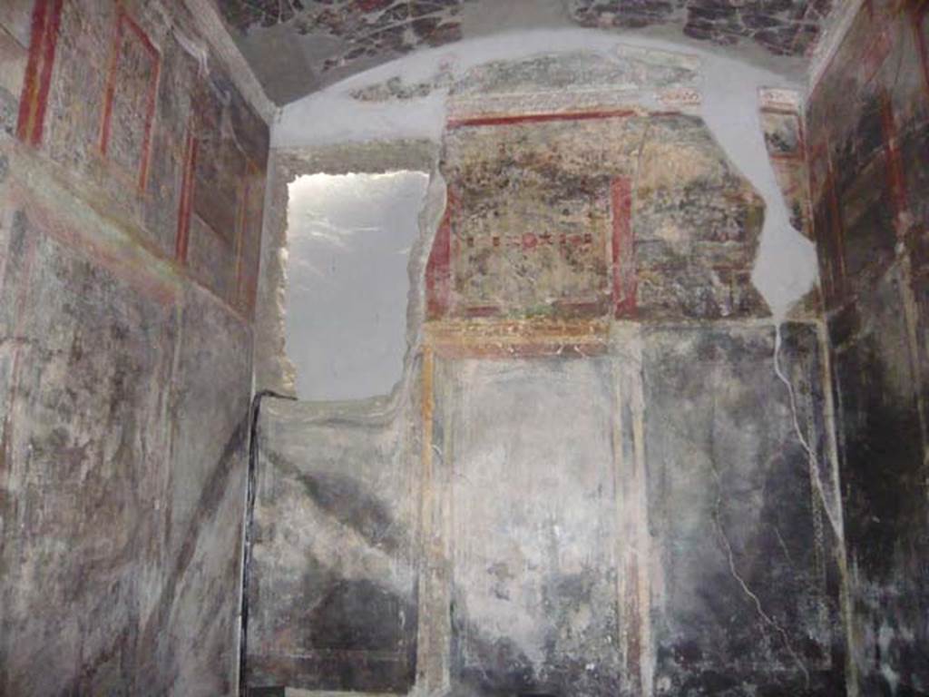 IX.13.1-3 Pompeii. May 2012.  Room 10, upper north wall and vaulted ceiling. 
Photo courtesy of Buzz Ferebee.