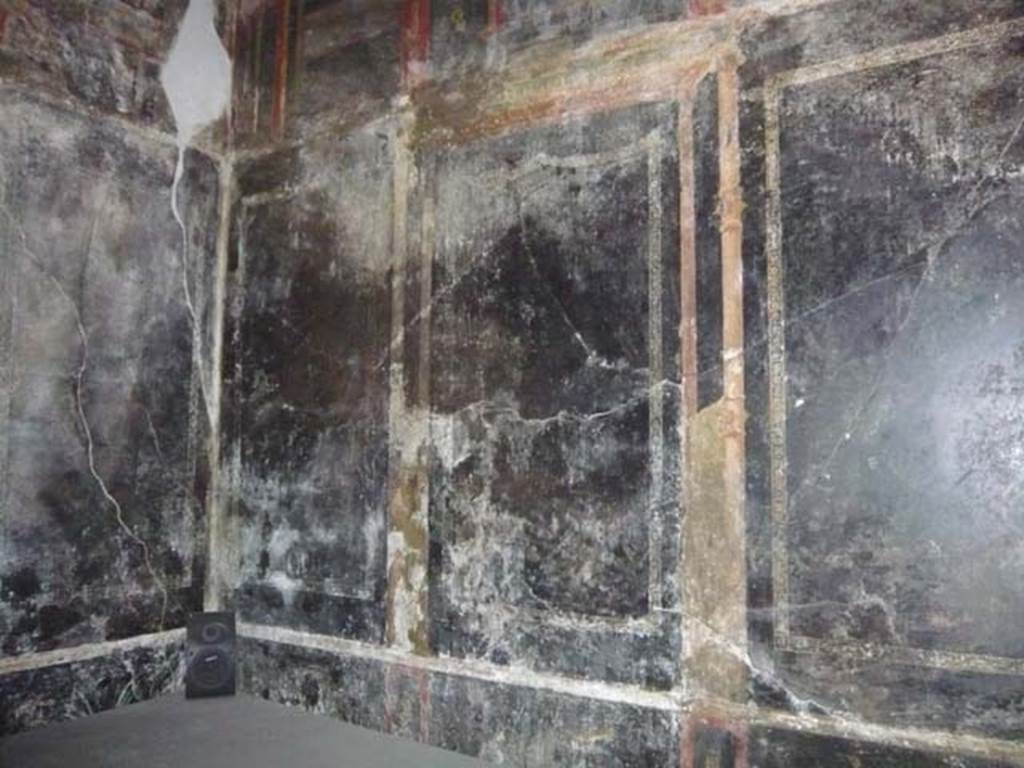 IX.13.1-3 Pompeii. May 2012.  Room 10, north-east corner and east wall.
Photo courtesy of Buzz Ferebee.