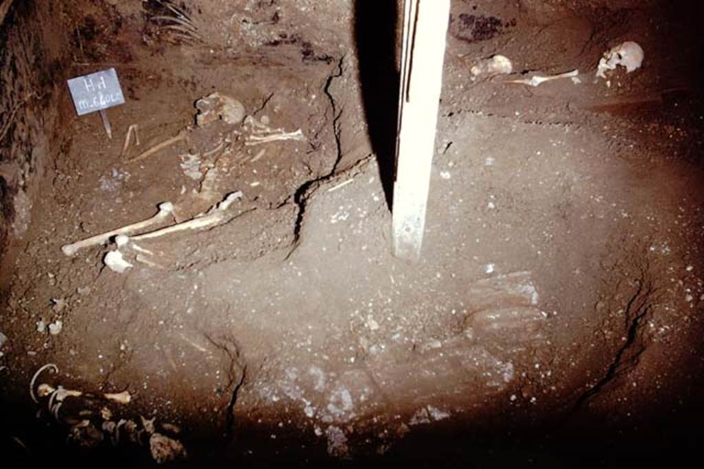 IX.13.1-3 Pompeii. 1974. 
Room 10, skeletons emerging for the first time in 2000 years. Looking towards the north-west corner. Photo by Stanley A. Jashemski.
Source: The Wilhelmina and Stanley A. Jashemski archive in the University of Maryland Library, Special Collections (See collection page) and made available under the Creative Commons Attribution-Non-Commercial License v.4. See Licence and use details.
J74f0860