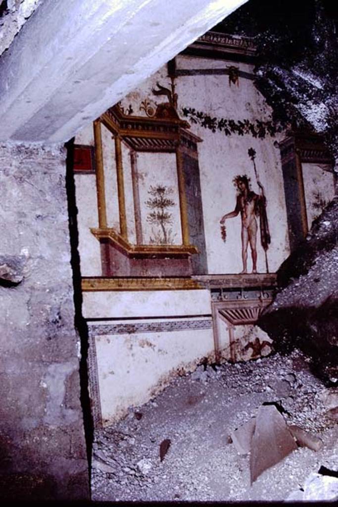 IX.13.1-3 Pompeii. 1972. Room 11, west wall.  Painted figure with staff and bunch of grapes during excavation. Photo by Stanley A. Jashemski. 
Source: The Wilhelmina and Stanley A. Jashemski archive in the University of Maryland Library, Special Collections (See collection page) and made available under the Creative Commons Attribution-Non Commercial License v.4. See Licence and use details. J72f0444