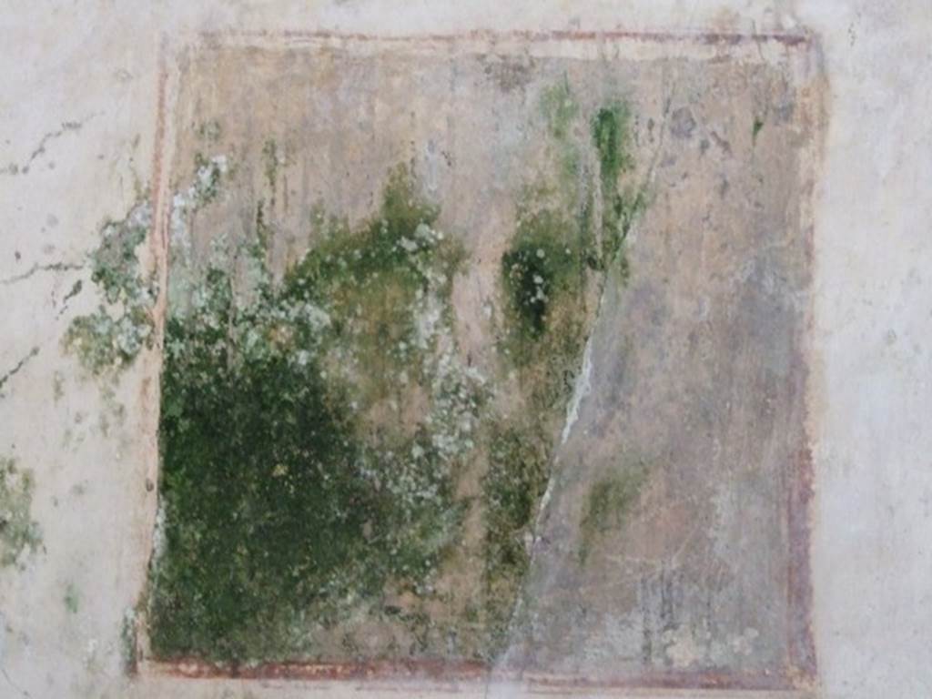 IX.13.1-3 Pompeii. March 2009. Room 11, north wall. Remains of wall painting, possibly Narcissus?
