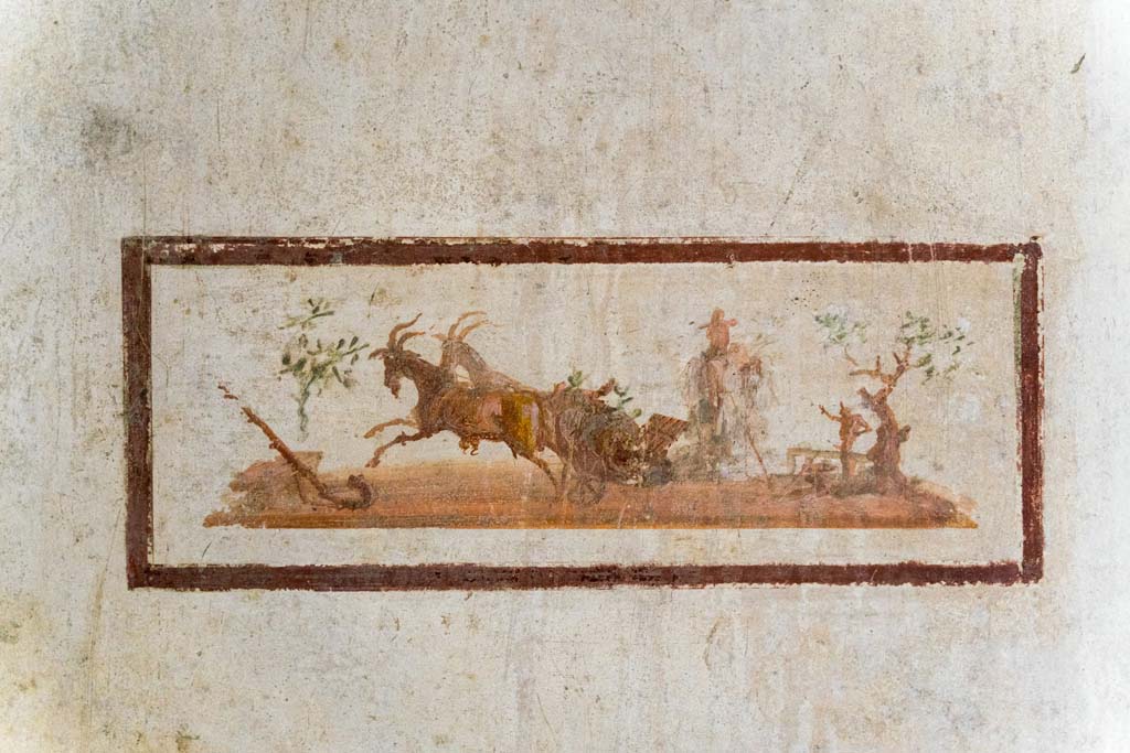 IX.13.1-3 Pompeii. October 2021. 
Room 11, painted panel of goats pulling a cart, from south end of east wall. Photo courtesy of Johannes Eber.
