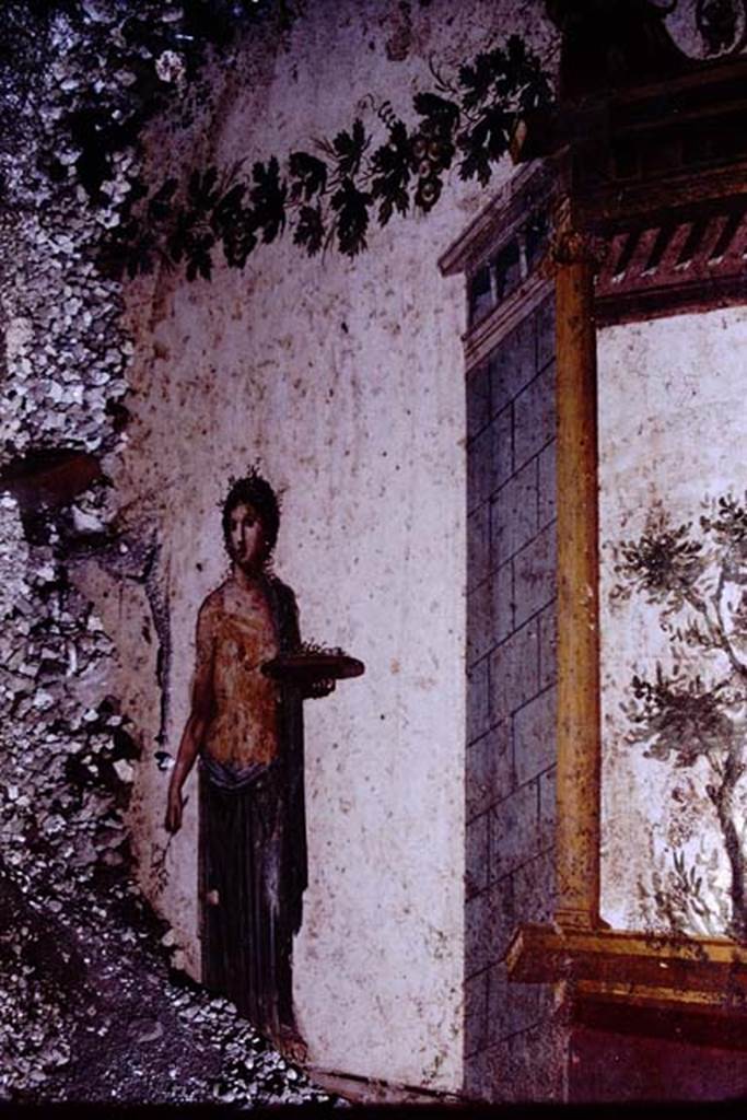 IX.13.1-3 Pompeii. 1972. Room 11, detail from east wall. Photo by Stanley A. Jashemski. 
Source: The Wilhelmina and Stanley A. Jashemski archive in the University of Maryland Library, Special Collections (See collection page) and made available under the Creative Commons Attribution-Non Commercial License v.4. See Licence and use details. J72f0445