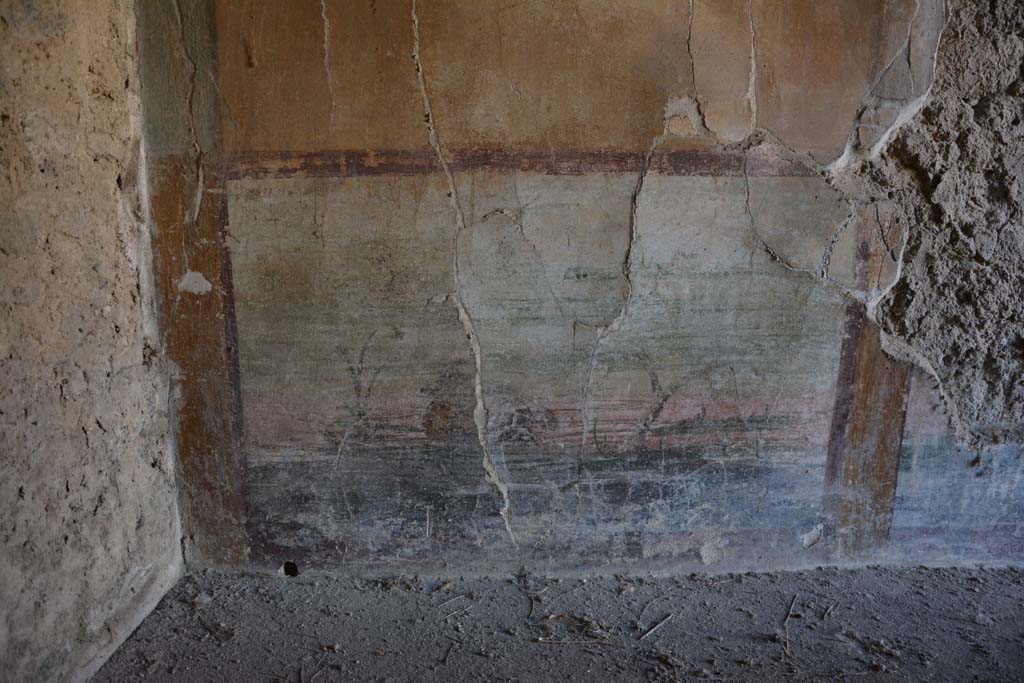 IX.14.4 Pompeii. September 2019. Room 5, detail from lower west wall at south end.
Foto Annette Haug, ERC Grant 681269 DÉCOR.