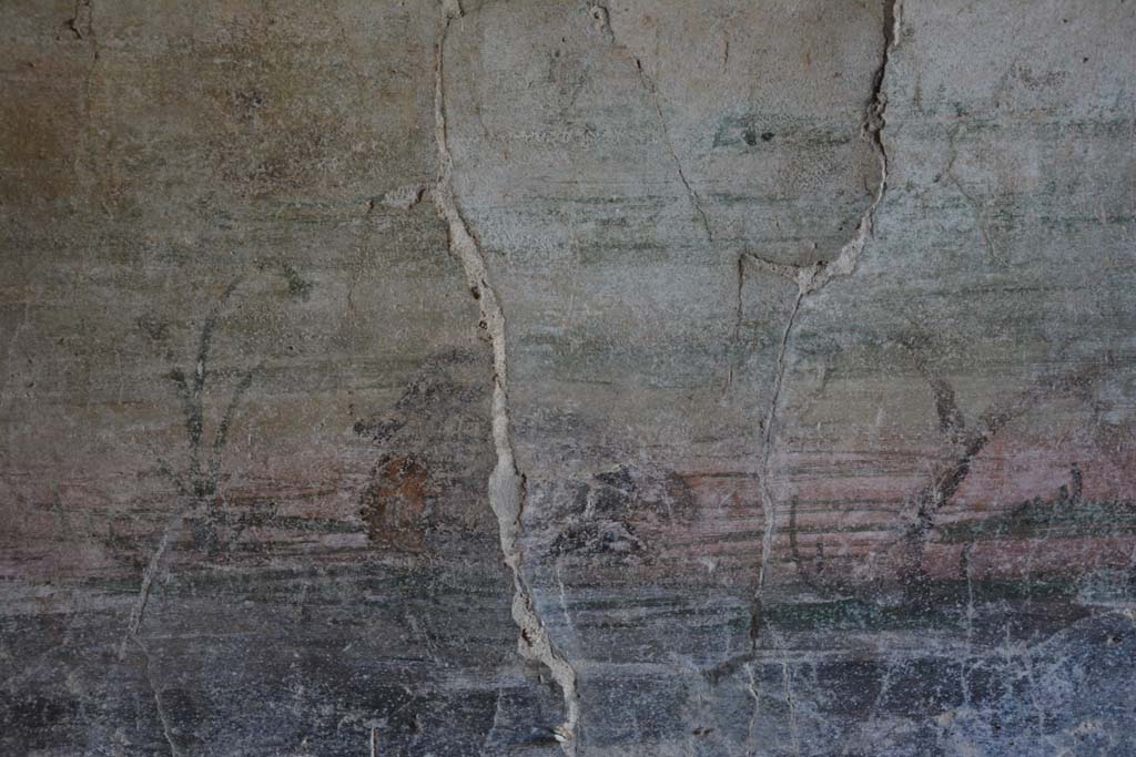 IX.14.4 Pompeii. September 2019. Room 5, detail of painted duck on zoccolo of lower west wall at south end.
Foto Annette Haug, ERC Grant 681269 DÉCOR.