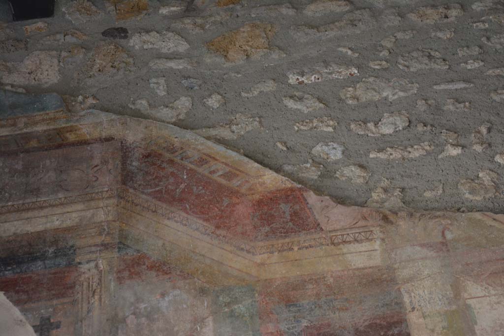 IX.14.4 Pompeii. September 2019. Room 3, detail from upper east wall.
Foto Annette Haug, ERC Grant 681269 DÉCOR.