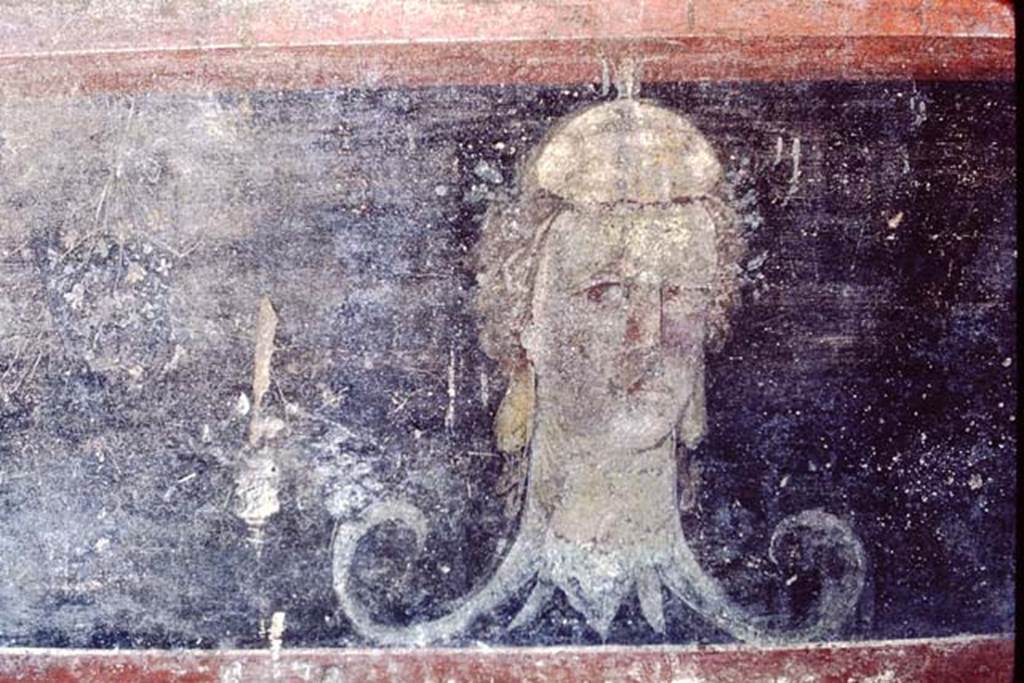 IX.14.4 Pompeii. 1968. Room 3, painted decoration from south wall on zoccolo at west end. Photo by Stanley A. Jashemski.
Source: The Wilhelmina and Stanley A. Jashemski archive in the University of Maryland Library, Special Collections (See collection page) and made available under the Creative Commons Attribution-Non Commercial License v.4. See Licence and use details.
J68f1533