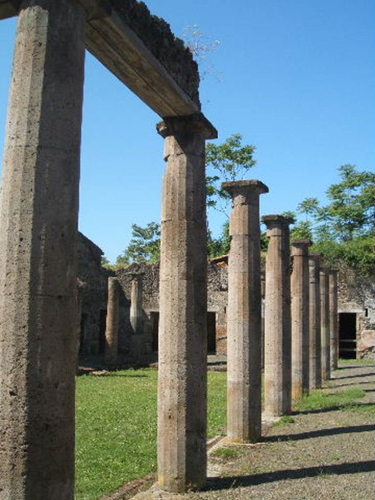 IX.14.4 Pompeii.  May 2005. Looking west along ambulatory on north portico of peristyle 1.