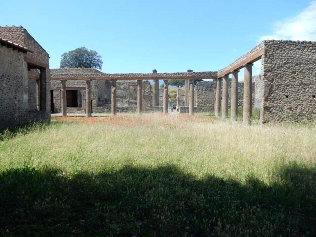 IX.14.4 Pompeii. May 2017. Looking north across peristyle and garden area towards atrium. Photo courtesy of Buzz Ferebee.