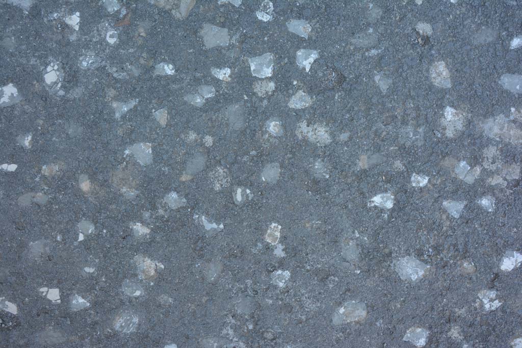 IX.14.4 Pompeii. July 2017. Detail of flooring in vestibule/entrance corridor/atrium.
Foto Annette Haug, ERC Grant 681269 DÉCOR.