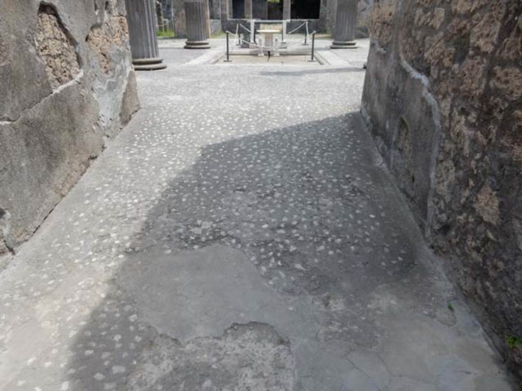 IX.14.4 Pompeii. May2017. Looking south along flooring of entrance corridor towards atrium. Photo courtesy of Buzz Ferebee.