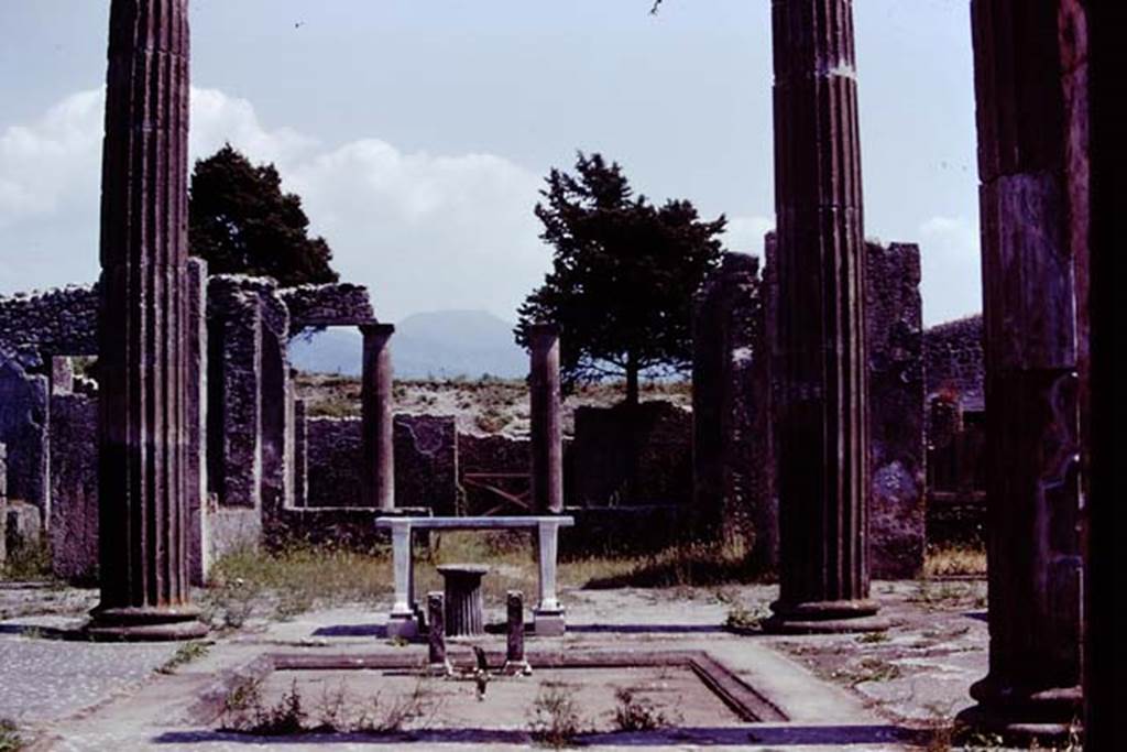 IX.14.4 Pompeii, 1978. Looking south across impluvium in atrium. Photo by Stanley A. Jashemski.   
Source: The Wilhelmina and Stanley A. Jashemski archive in the University of Maryland Library, Special Collections (See collection page) and made available under the Creative Commons Attribution-Non Commercial License v.4. See Licence and use details. J78f0219