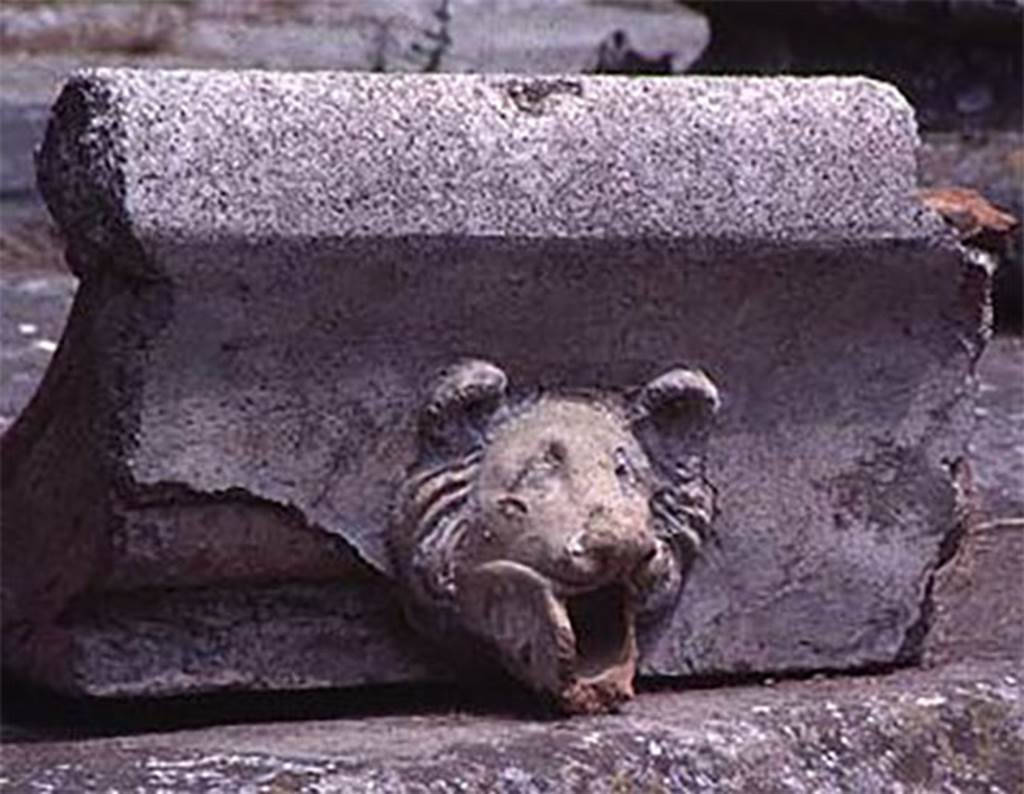 IX.14.4 Pompeii. “Fallen compluvium tile, animal head water spout”, 1993. 
Courtesy of Vroma Project.