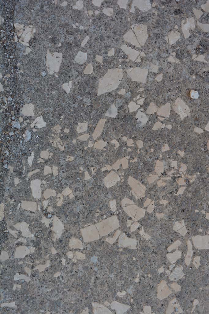 IX.14.4 Pompeii. July 2017. East ala G, detail of flooring.
Foto Annette Haug, ERC Grant 681269 DÉCOR.
