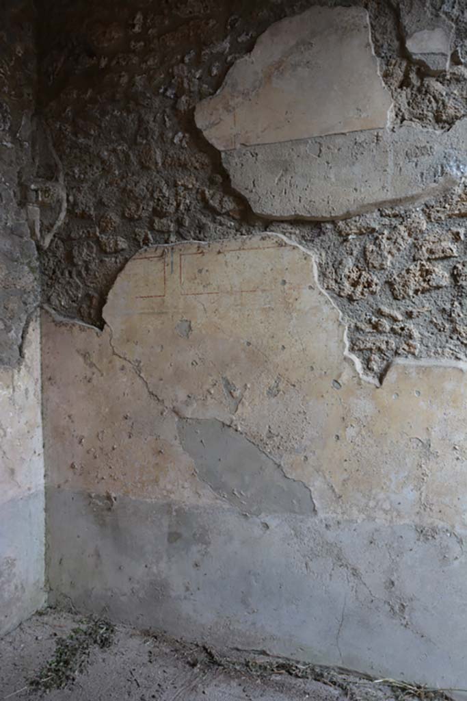 IX.14.4 Pompeii. September 2019. Room 21, detail from north wall at west end.
Foto Annette Haug, ERC Grant 681269 DÉCOR.