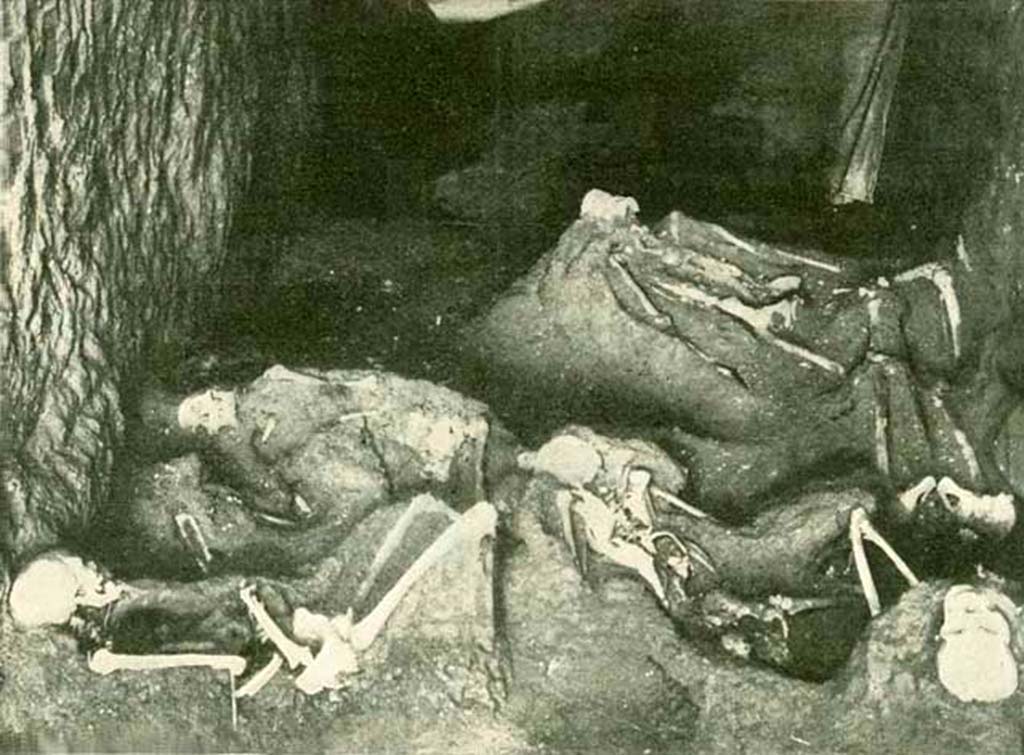 IX.14.4 Pompeii. 1912. Human skeletons discovered in the fauces 28, level with fauces 38. 
These were found during September and October 1911.
There were five skeletons and they appear to have come from the rooms to the west of the fauces. 
Being unable to get out past the high wall of lapilli in the Via di Nola or the Vicolo they tried to escape into the spacious house next door. 
This is evidenced by a large hole the excavators found in the west wall of the fauces.
The absence of lapilli in the fauces showed the doors were closed at the time of the eruption.
The fauces effectively became hermetically sealed by lapilli from the atrium and the via di Nola.
They were unable to escape and eventually were overcome by a rain of ash.
See Notizie degli Scavi di Antichità, 1911, (p.350-1 and p.372-3).