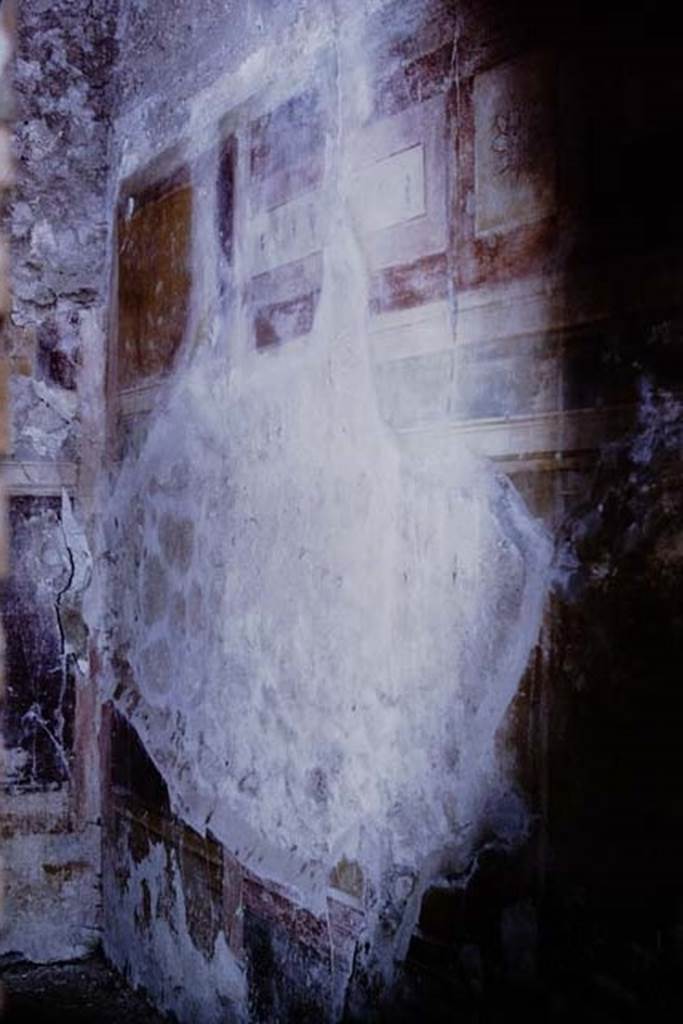 IX.14.4 Pompeii. 1968.  Room 15, north wall and north-west corner. 
Photo by Stanley A. Jashemski.
Source: The Wilhelmina and Stanley A. Jashemski archive in the University of Maryland Library, Special Collections (See collection page) and made available under the Creative Commons Attribution-Non Commercial License v.4. See Licence and use details.
J68f1541