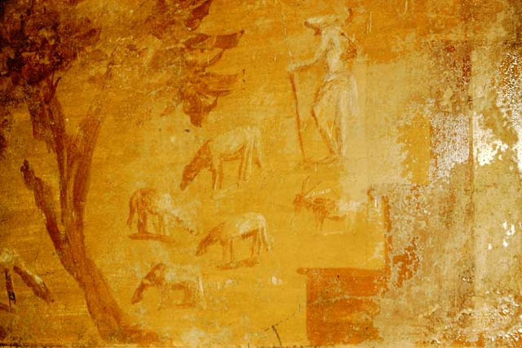 IX.14.4 Pompeii. 1957.  Room 15, detail from painted panel at upper west end of north wall. Photo by Stanley A. Jashemski.
Source: The Wilhelmina and Stanley A. Jashemski archive in the University of Maryland Library, Special Collections (See collection page) and made available under the Creative Commons Attribution-Non Commercial License v.4. See Licence and use details.
J57f0313