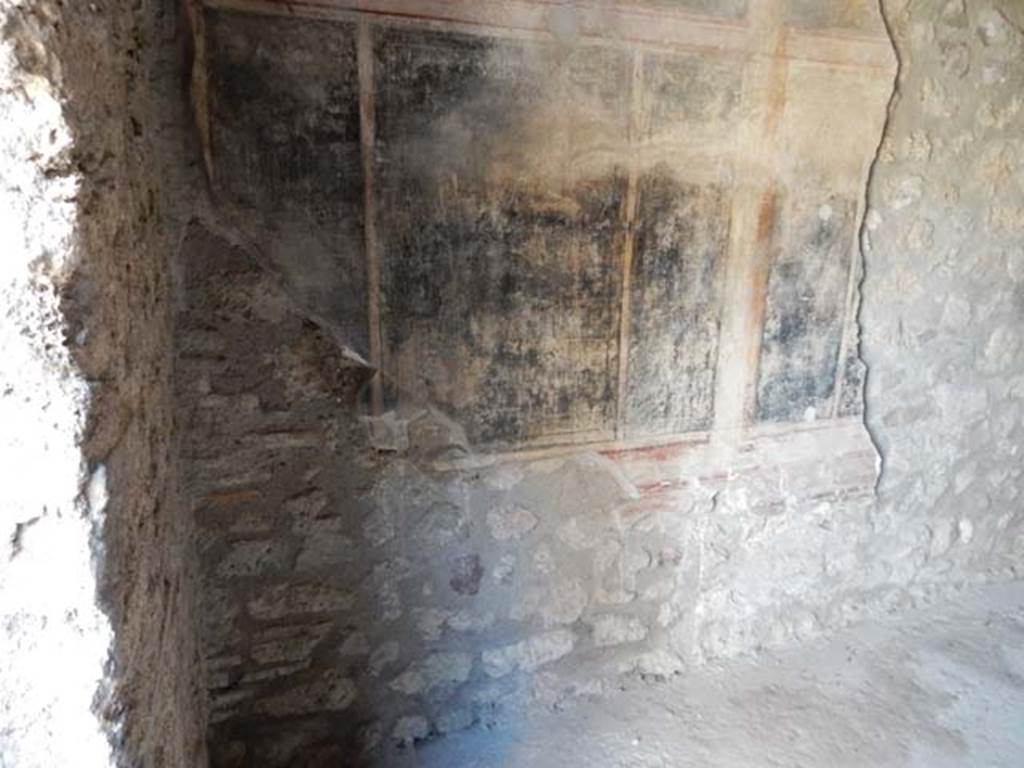 IX.14.4 Pompeii. May 2017. Room 14, oecus, detail from lower south wall. Photo courtesy of Buzz Ferebee.