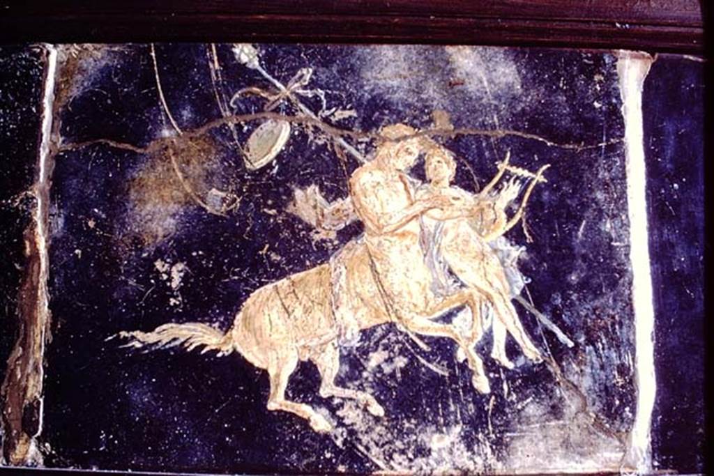 HGW06 Pompeii. 1968. Found in triclinium.  Wall painting of centaurs with riders on their backs.
Now in Naples Archaeological Museum.  Inventory number 9133 (part).
Photo by Stanley A. Jashemski.
Source: The Wilhelmina and Stanley A. Jashemski archive in the University of Maryland Library, Special Collections (See collection page) and made available under the Creative Commons Attribution-Non Commercial License v.4. See Licence and use details.
J68f0818
