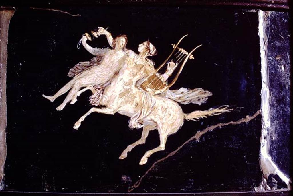 HGW06 Pompeii. 1968. Found in triclinium on 18 January 1749.  Wall painting of centaurs with riders on their backs.
Now in Naples Archaeological Museum.  Inventory number 9133 (part).
Photo by Stanley A. Jashemski.
Source: The Wilhelmina and Stanley A. Jashemski archive in the University of Maryland Library, Special Collections (See collection page) and made available under the Creative Commons Attribution-Non Commercial License v.4. See Licence and use details.
J68f0817