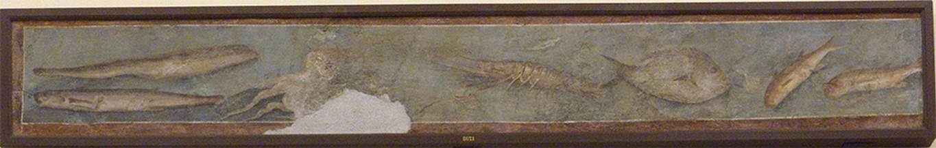 HGW06 Pompeii. Found on 6th July 1748. Fish frieze. Painting of eels, octopus, lobster and mullet.
Now in Naples Archaeological Museum. Inventory number 8621.
See Helbig, W., 1868. Wandgemälde der vom Vesuv verschütteten Städte Campaniens. Leipzig: Breitkopf und Härtel. (1656).