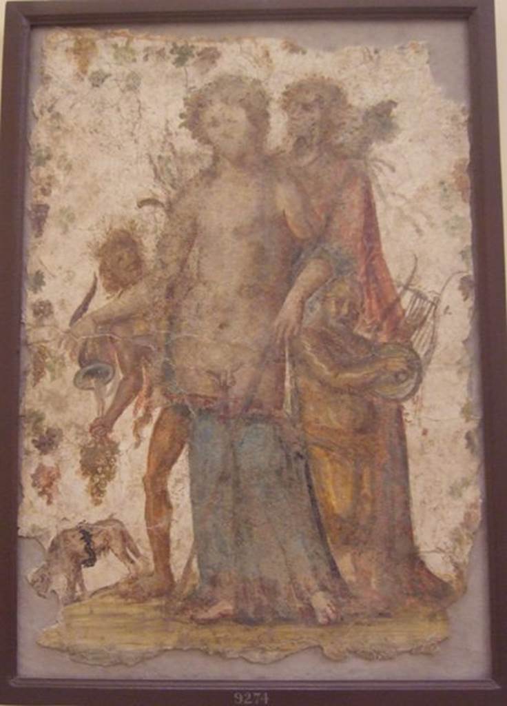 HGW06 Pompeii. Found 29th March 1749. Ambiente 1 of Villa of Cicero. 
Painting of Bacchus with cup and panther, Silenus with cithara and other figures.
Now in Naples Archaeological Museum. Inventory number 9274.
See Pagano, M. and Prisciandaro, R., 2006. Studio sulle provenienze degli oggetti rinvenuti negli scavi borbonici del regno di Napoli. Naples: Nicola Longobardi. (p.13).
Kuivalainen comments –
A somewhat effeminate and naked Bacchus; the rhyton is a less customary attribute. The panther is also unusual both in his appearance and by the way he is lapping his wine up from the ground. The composition is full of small anomalies.
See Kuivalainen, I., 2021. The Portrayal of Pompeian Bacchus. Commentationes Humanarum Litterarum 140. Helsinki: Finnish Society of Sciences and Letters, (F16, p.171-2).