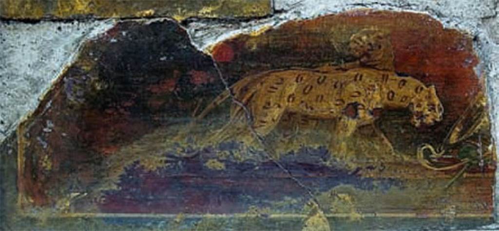 HGW06 Pompeii. Villa of Cicero. Two panthers approaching cymbals from the left.
Now in Naples Archaeological Museum. Inventory number s.n. Ant. Inv. 72.
See Ciardello R., La ricostruzione delle decorazioni dalla Villa di Cicerone a Pompei in AMOENITAS II, 2012, Roma, p. 149, fig. 21.