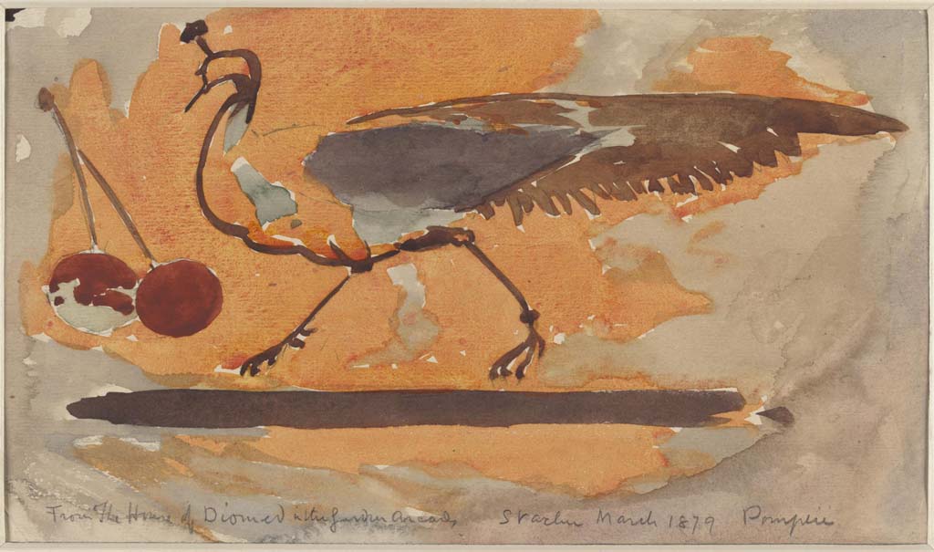 HGW24 Pompeii. c. March 1879. Painting by Sydney Vacher of peacock from centre of panel in the garden arcade. 
Photo © Victoria and Albert Museum, inventory number E.4388-1910.