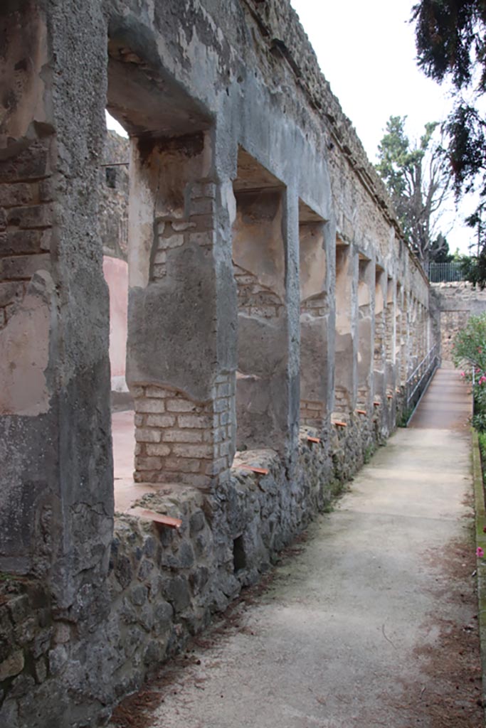 Villa of Diomedes, Pompeii. October 2023. 
Looking west along wall of south portico, on garden side. Photo courtesy of Klaus Heese.