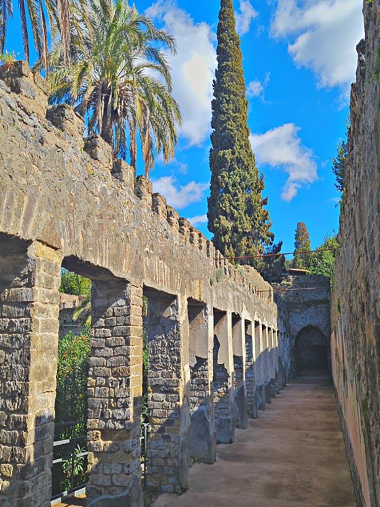 Villa of Diomedes, Pompeii. March 2024.
South portico, looking east from south-west corner. Photo courtesy of Giuseppe Ciaramella.