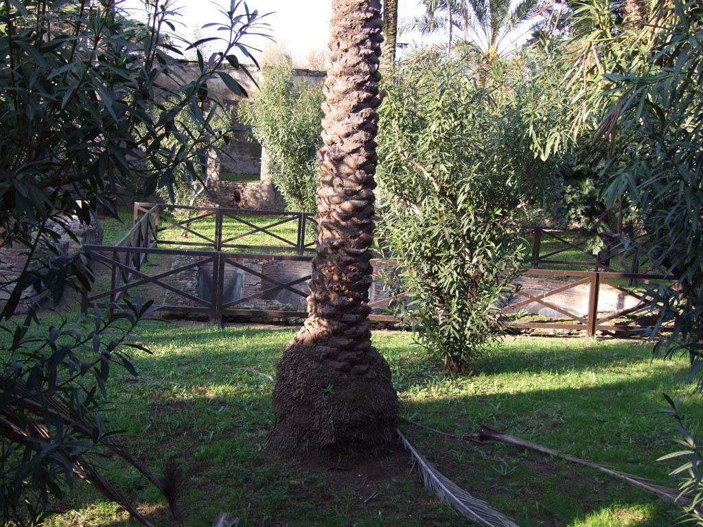 HGW24 Pompeii. December 2006. Garden from south portico.