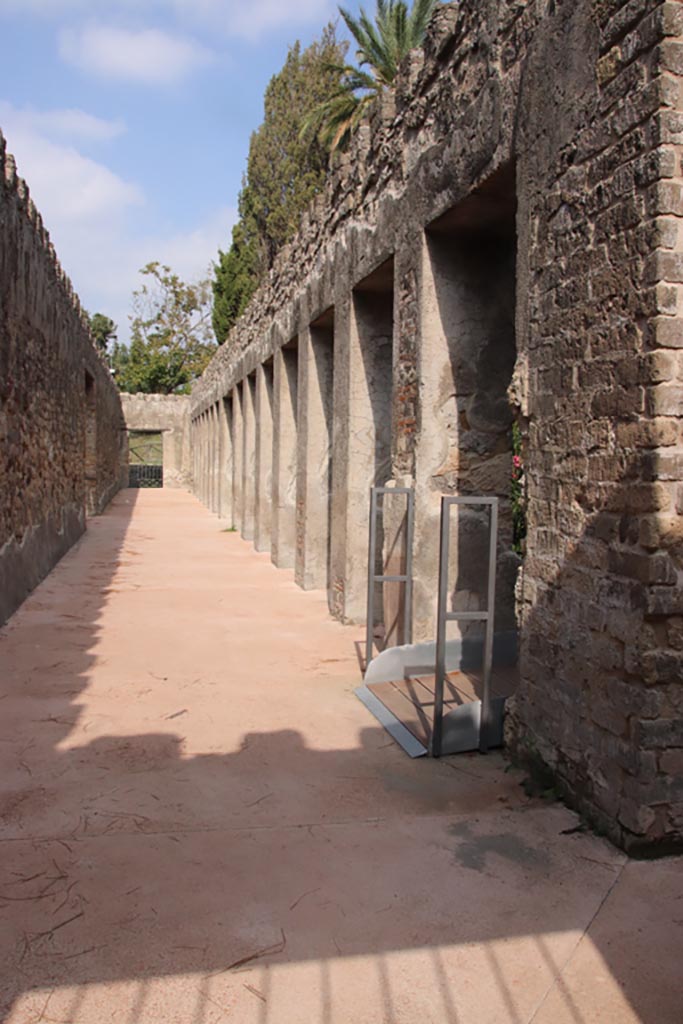 Villa of Diomedes, Pompeii. October 2023. Looking north along west portico. Photo courtesy of Klaus Heese.
(Villa Diomedes Project –area 63, west portico). 
(Fontaine, 5c).