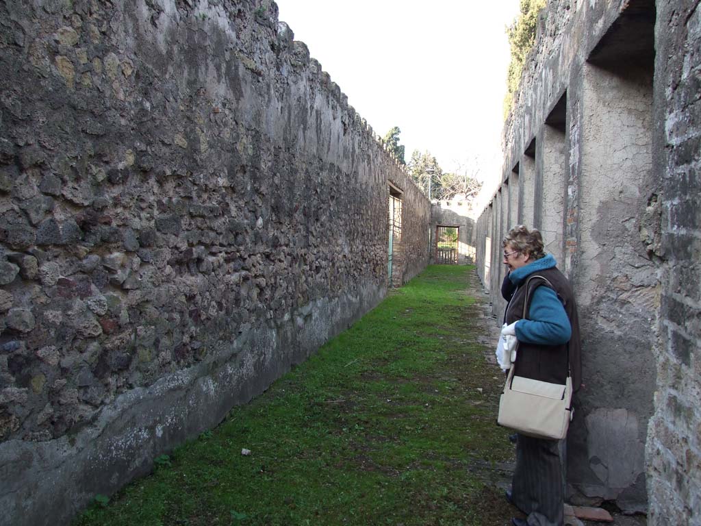 HGW24 Pompeii. December 2006. Looking north along west portico. 
In the cellar below the west portico of the garden, nos. 81 and 82 from the La Vega plan were found at this end of it, towards the south-west corner.
However, there appear to be two no.81’s shown on the plan. 
This no.81 would seem to be from 9th December 1773, and from the west side of the cellar below the garden area, and said –
From PAH, addendum, p.131 – 
Relazione delle antichita, che si vanno ritrovando nella masseria del sig. D. Giovanni Milano parsonaro, che si era principiata al di 14 Febbraro 1771. (Report of Antiquities found.....)
 “No.81. nella stessa date. Si e ritrovata una sciva di bronzo, e tra la terra levata di quel sito si sono trovate tre monete, due di diam. on.1, e l’altra di min. 3 e mezza, che per la ruggine non si distinguono. Un pezzo di sciva, il tutto di bronzo. Ed un bottone di vetro.”
(No.79 was dated 9th December 1773 and no.80 (as no.81) was said to be from the same date).
(The other no.81, shown on PAH addendum, p.160 – dated 25th June 1774 would seem to fit in with the dates when the surrounding rooms to it were excavated – but no further details are shown. It was from the corridor at the south end of the east portico of the garden area).
From PAH 1,1, p.276, 8th January 1774: addendum p.131 and p.159 
In the present week, we have worked in the cellar of the dwelling outside the Gate of the city.
From PAH, addendum, p.131 – 
Relazione delle antichita, che si vanno ritrovando nella masseria del sig. D. Giovanni Milano parsonaro, che si era principiata al di 14 Febbraro 1771. (Report of Antiquities found.....)
 “No. 82. A di 5 gennaio 1774. Si e trovato un pezzo di serratura di bronzo.”