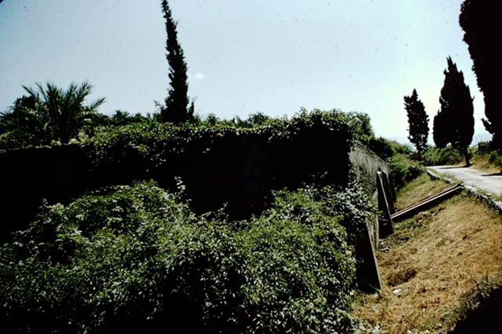 HGW24 Pompeii. 1957. Looking south along the exterior west wall near the roadway Via Villa dei Misteri.
The turret in the north-west corner is on the lower left of the photo.
Source: The Wilhelmina and Stanley A. Jashemski archive in the University of Maryland Library, Special Collections (See collection page) and made available under the Creative Commons Attribution-Non Commercial License v.4. See Licence and use details.