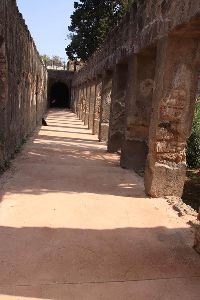Villa of Diomedes, Pompeii. October 2023. 
Looking east along north portico. Photo courtesy of Klaus Heese.