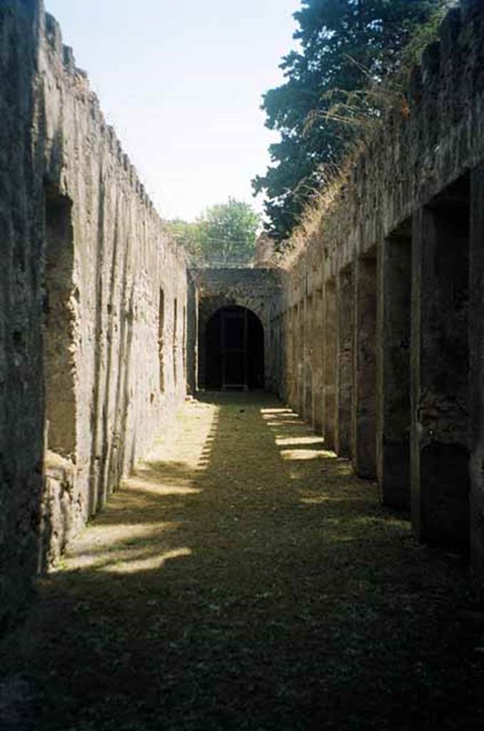HGW24 Pompeii. July 2010. Looking east along north portico from north-west corner. 
Photo courtesy of Rick Bauer.
(Fontaine, portico 5d).