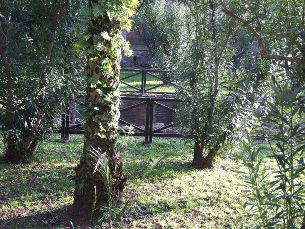HGW24 Pompeii. December 2006. Looking south across view of pool across garden.