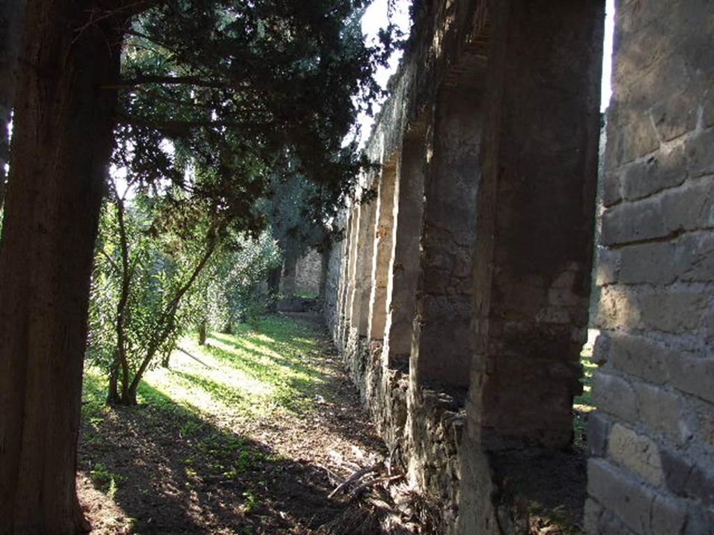 HGW24 Pompeii. December 2006. Looking West along the garden side of North portico.