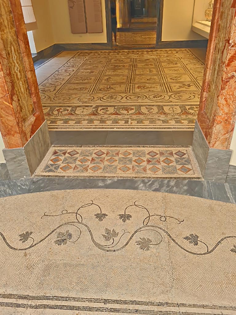 Mosaic floor in Naples Archaeological Museum, 
Room CXXXIV (134), looking from doorway threshold and room CXXXV (135). June 2024. Photo courtesy of Giuseppe Ciaramella.
According to Abbate - in the index for the 1859 edition - 
No.96 would appear to be a mosaic floor, as seen in the centre of the above floor.
In the index it is provenanced from the Villa of Diomedes at Pompeii?
No.97 would appear to be the above border/edge of the mosaic floor and is also said to be from Villa of Diomedes.
See Raccolta de più interessante Dipinture e di più belle Musaici rinvenuti negli Scavi di Ercolano, di Pompei, e di Stabia. 1859. Napoli.
By the 1865 and 1871 edition with index, these mosaics are just quoted as being from Pompeii.
However, the border/edge may be from VI.17.9/10 (?).
Both mosaics are now set in the floor of the Naples Museum, in the pinacoteca, sala 4.
See Allroggen-Bedel - Die malereien aus dem Haus Insula Occidentalis 10, (page 163-5).
(Note: Now in Room CXXXIV, (134).