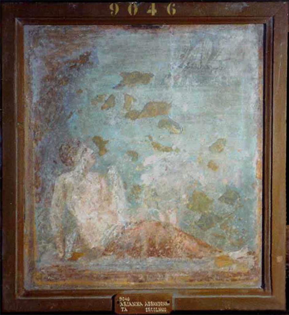 HGW24 Pompeii. Fresco of Arianna abandoned, watching the boat of Theseus sailing some distance away.
Now in Naples Archaeological Museum. Inventory number 9046.