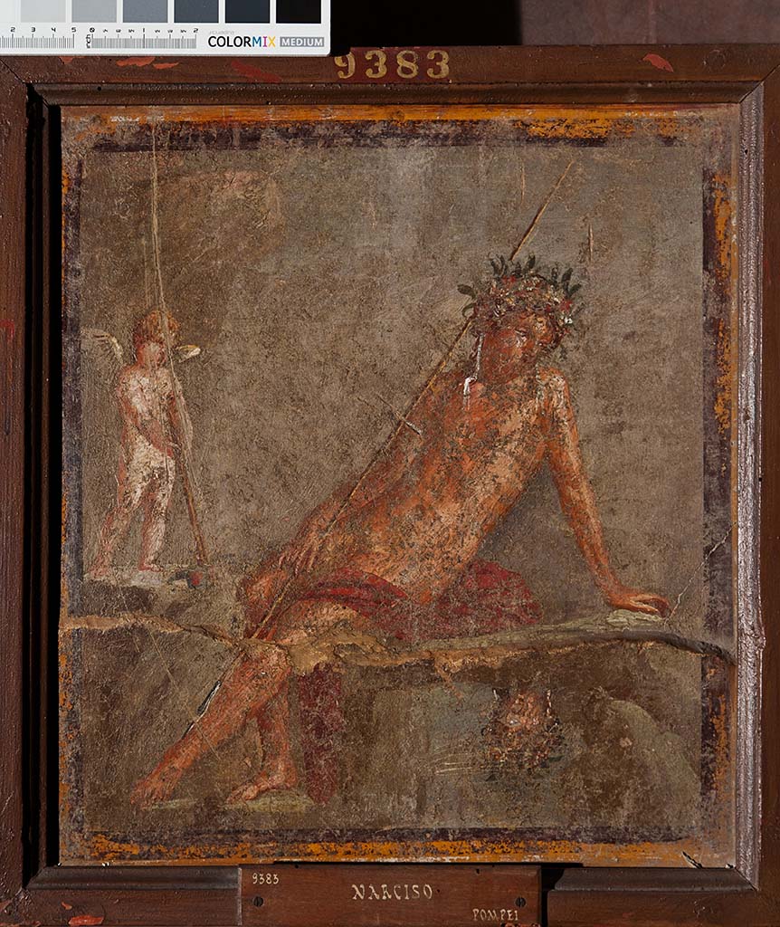 HGW24 Pompeii. 2013. Narcissus, sitting on a rock admiring his own reflection in the water, with a cupid nearby.
Now in Naples Archaeological Museum. Inventory number 9383.
Photo by Thomas Crognier, ©Villa Diomedes Project, base de données Images, http://villadiomede.huma-num.fr/bdd/images/572