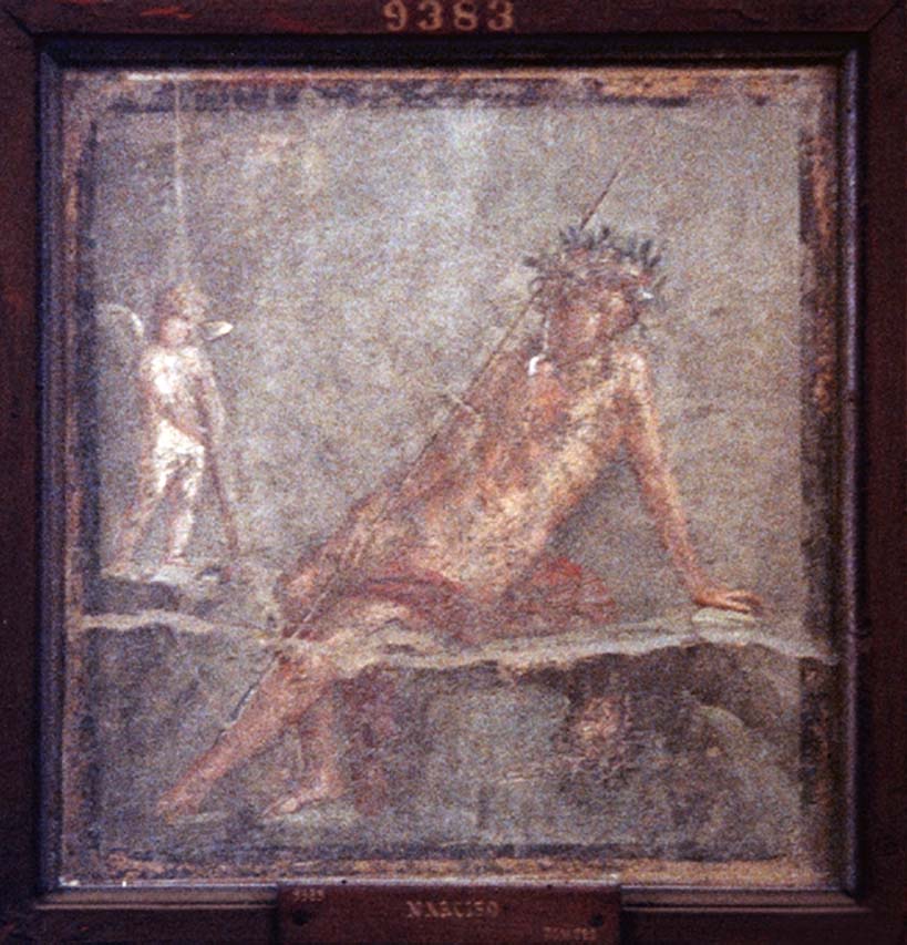 HGW24 Pompeii. Narcissus, sitting on a rock admiring his own reflection in the water, nearby was a cupid.
Now in Naples Archaeological Museum. Inventory number 9383.
(According to Pagano & Prisciandaro: NAP 9383, AdE vii 28, 127 – where it was provenanced from the tablinum).