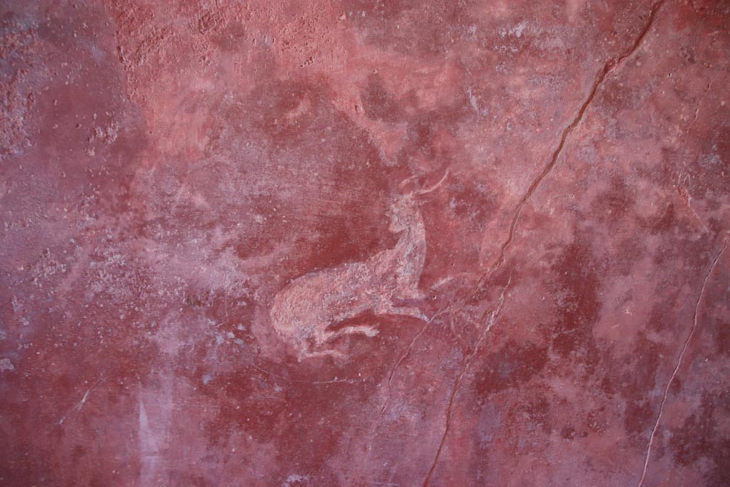 HGW24 Pompeii. Villa of Diomedes. October 2023. Detail of deer/antelope from east end of north wall. Photo courtesy of Klaus Heese.
(Villa Diomedes Project – area 61).
(Fontaine, room 5,13).