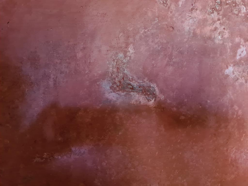 HGW24 Pompeii. Villa of Diomedes. May 2024. East wall, detail of animal in centre of panel at north end. Photo courtesy of Klaus Heese.
(Villa Diomedes Project – area 61).
(Fontaine, room 5,13).