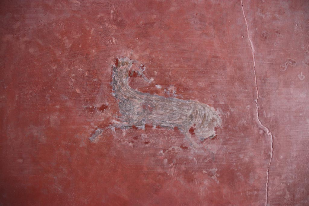HGW24 Pompeii. Villa of Diomedes. October 2023. 
South wall at east end, detail of painted animal in centre of panel. Photo courtesy of Klaus Heese.
(Villa Diomedes Project – area 61).
(Fontaine, room 5,13).