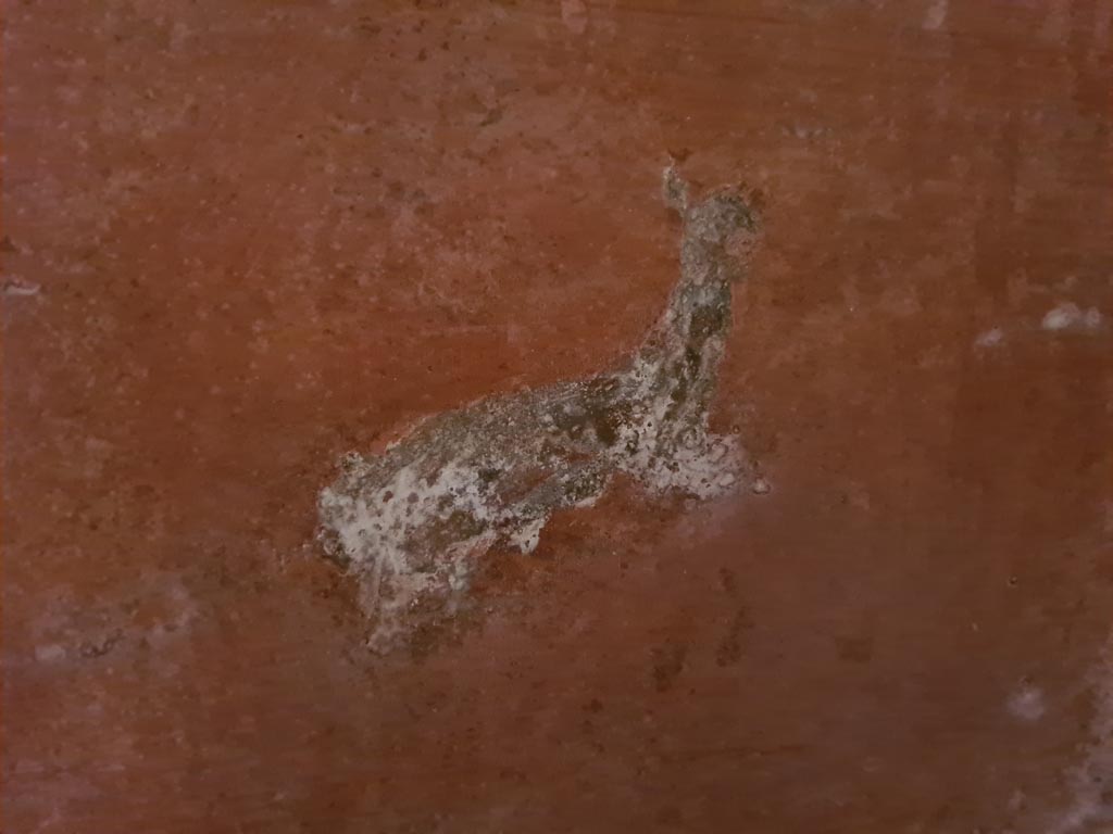 HGW24 Pompeii. Villa of Diomedes. May 2024. South wall at west end, detail from centre of panel. Photo courtesy of Klaus Heese.
(Villa Diomedes Project – area 61).
(Fontaine, room 5,13).